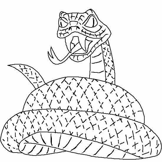 Dessin De Serpent Coloriages D Animaux A Imprimer